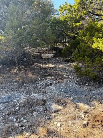 a view of a yard with a tree