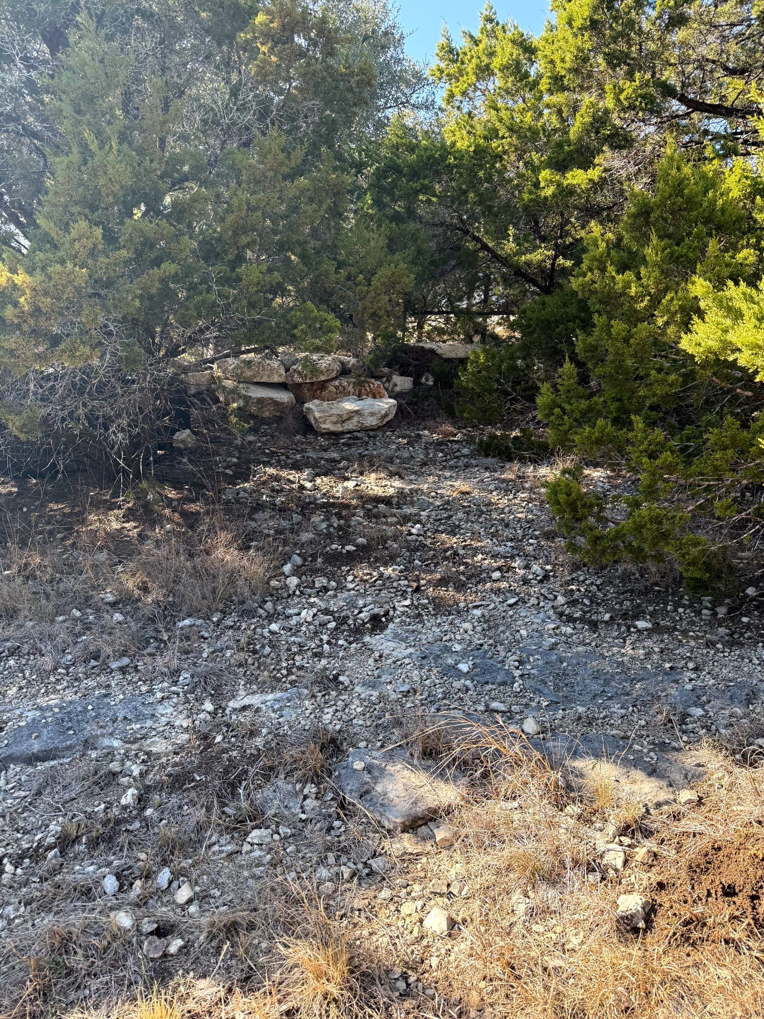 1392 Johnson Road Canyon Lake, TX 78133 - Photo 13 of 18 a view of a yard with a tree