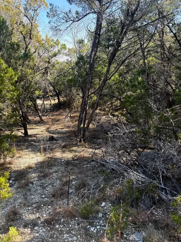 a view of outdoor space with trees