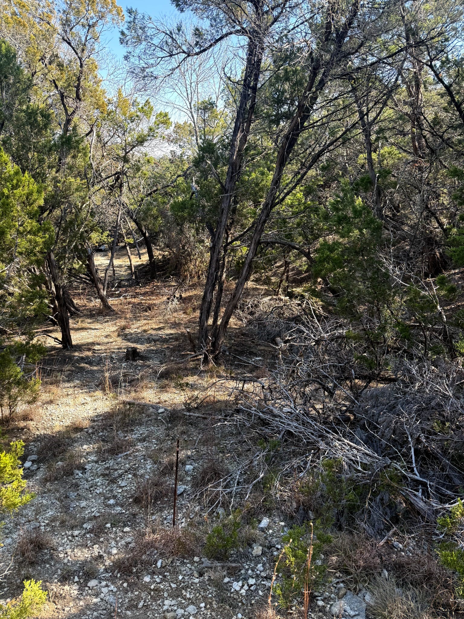 1392 Johnson Road Canyon Lake, TX 78133 - Photo 15 of 18 a view of outdoor space with trees