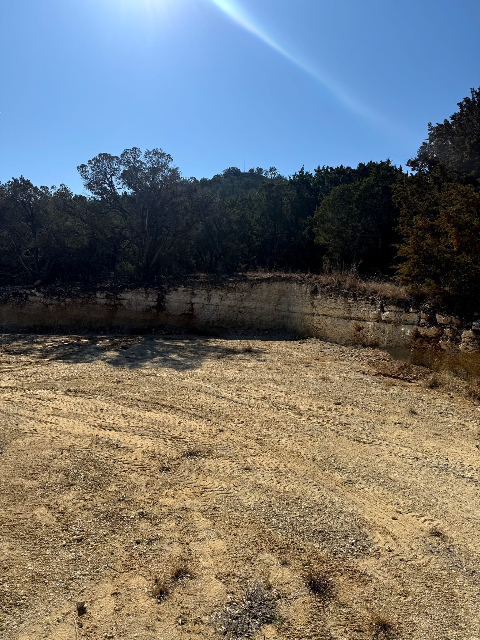 1392 Johnson Road Canyon Lake, TX 78133 - Photo 5 of 18 a view of swimming pool with a yard
