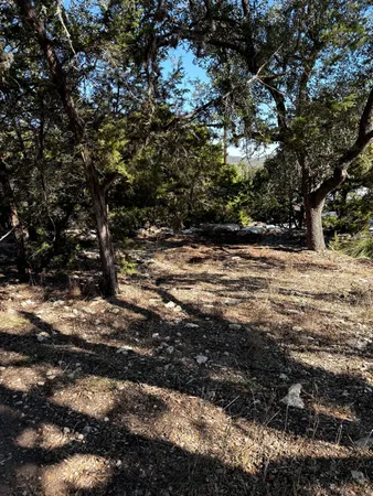 a view of a yard with a tree