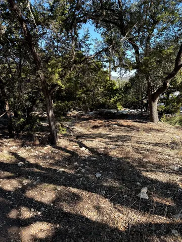 a view of a yard with a tree