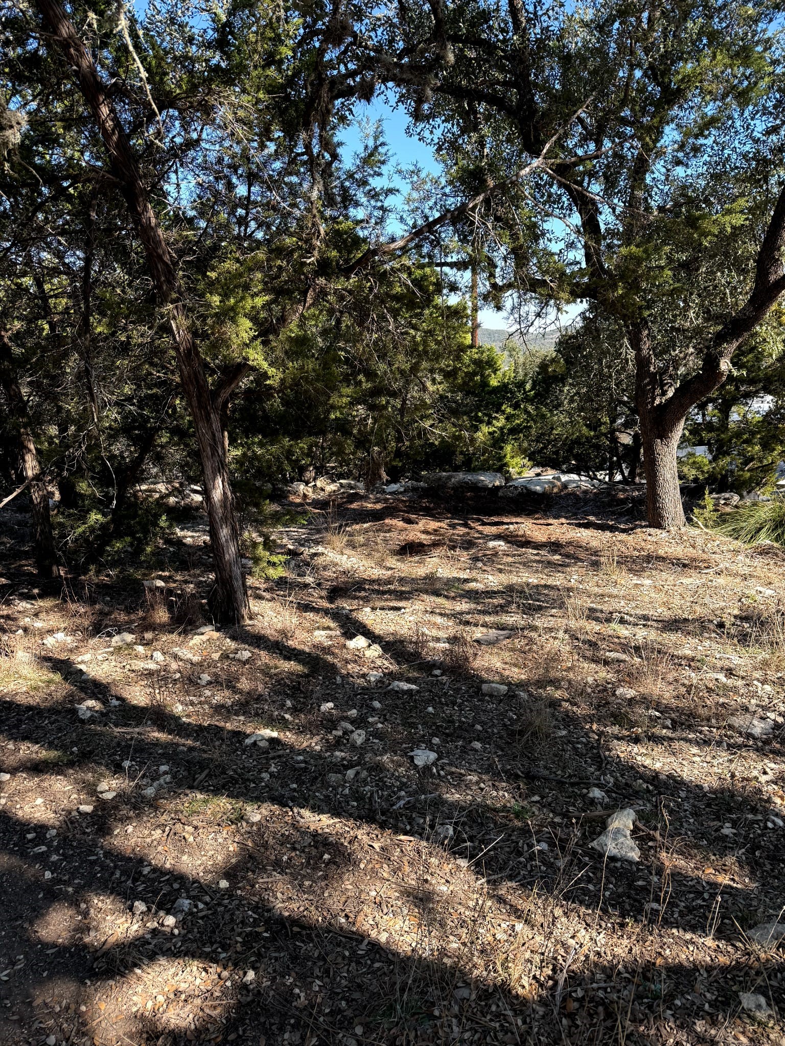 1392 Johnson Road Canyon Lake, TX 78133 - Photo 9 of 18 a view of a yard with a tree