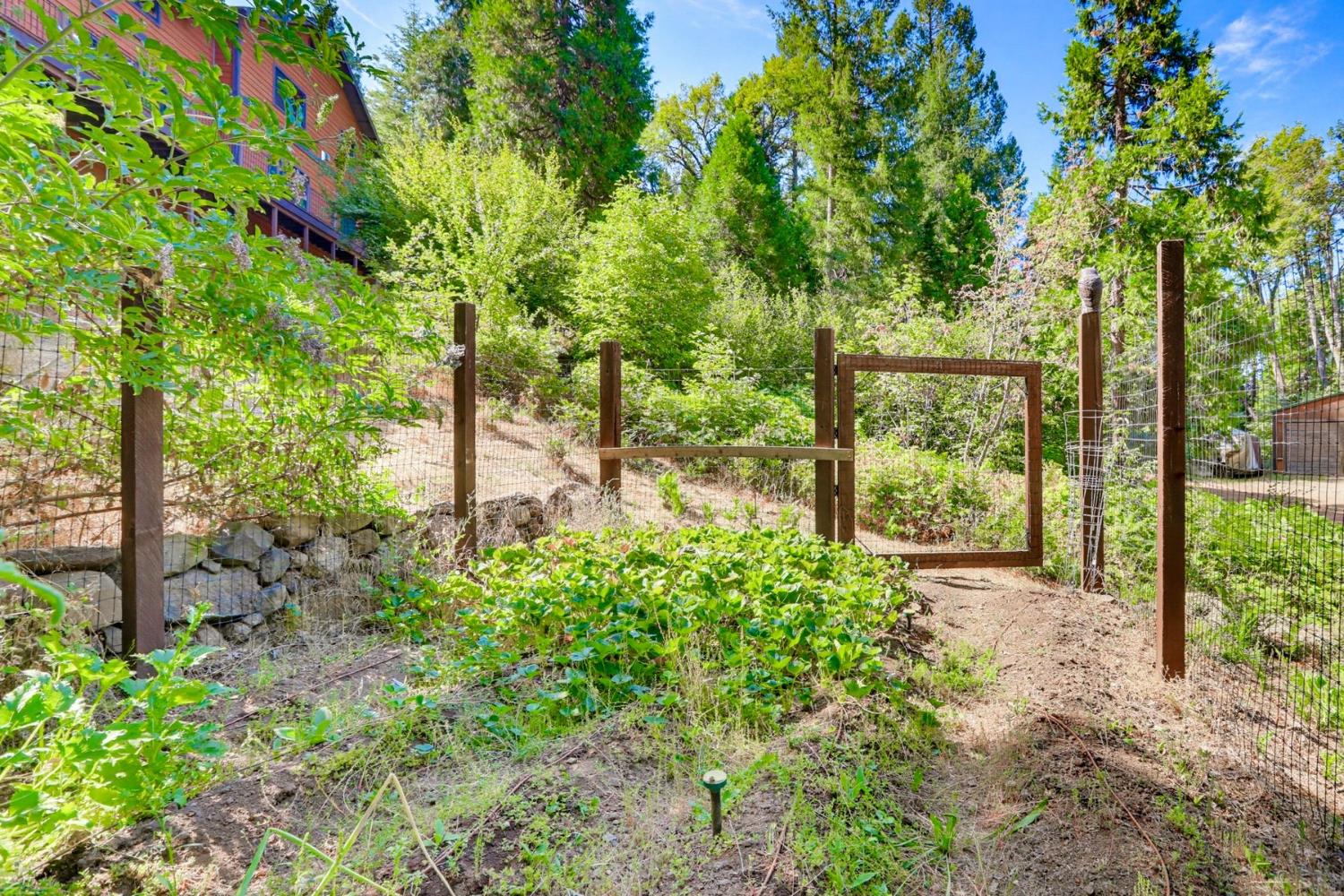 11234 Valencia Road Nevada City, CA 95959 - Photo 31 of 56 Gallery Image 31