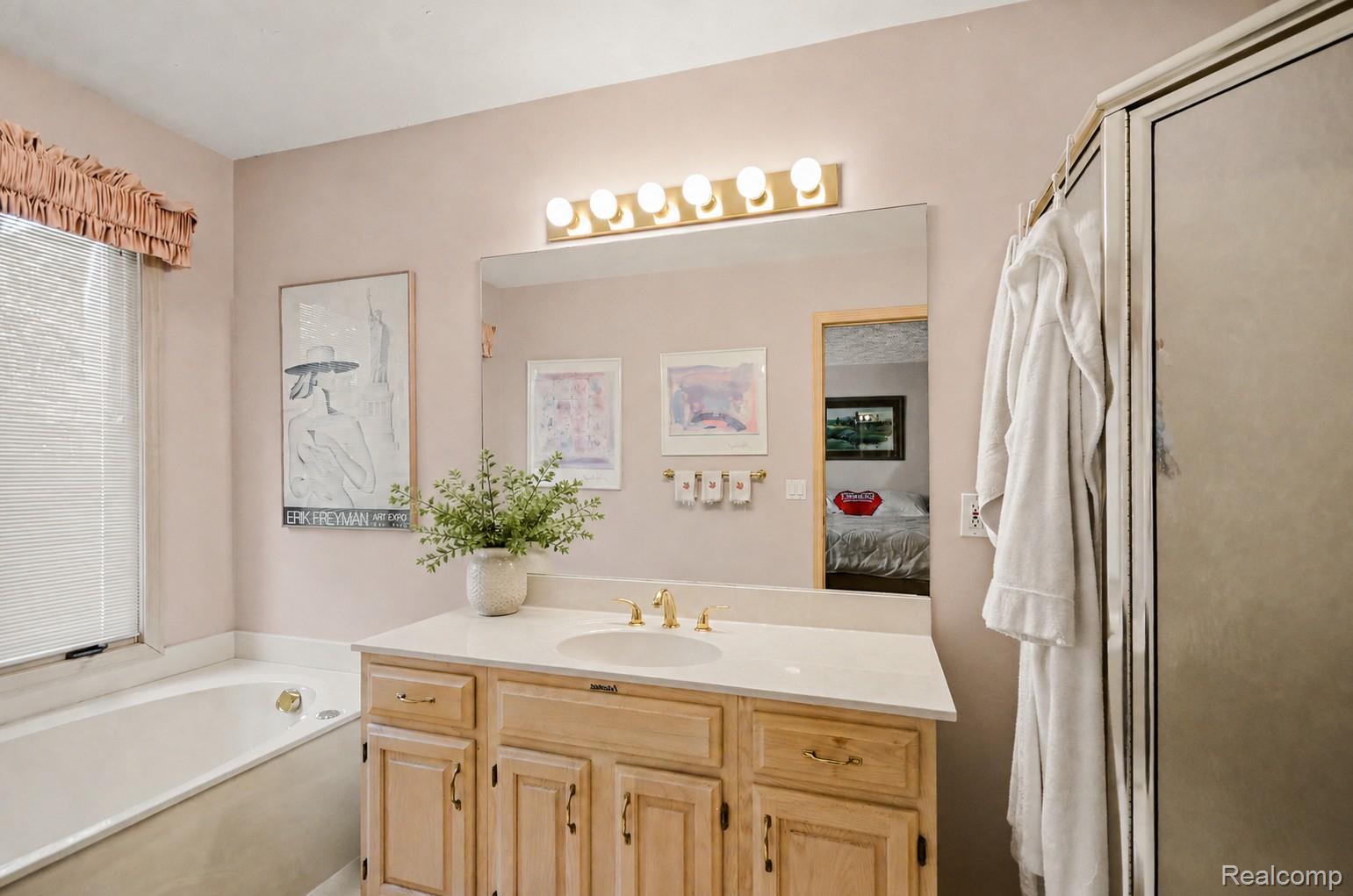 6638 Ridgeview Drive Clarkston, MI 48346 - Photo 13 of 28 Primary Bathroom