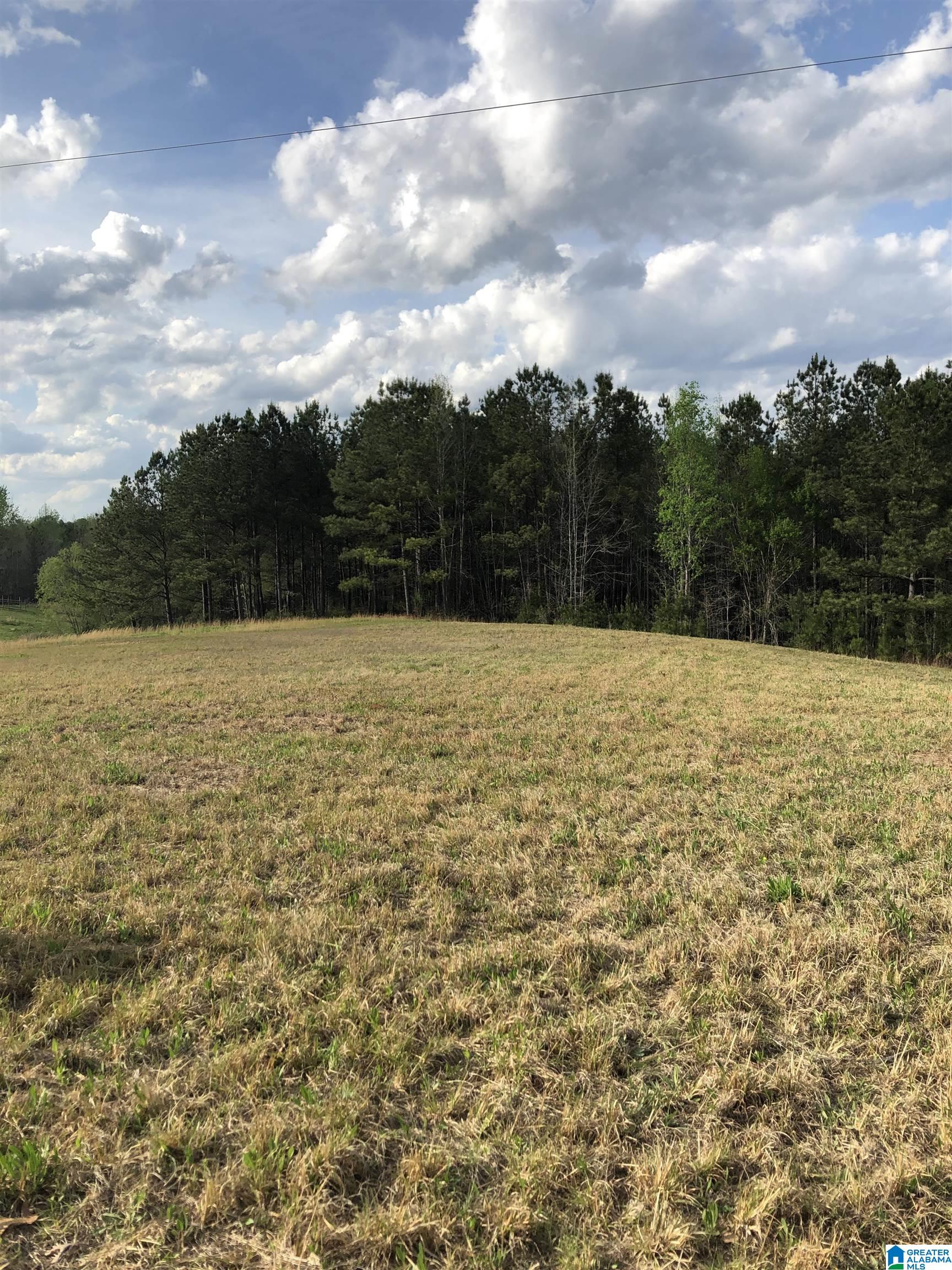 0 County Road 835, Unit 1 Clanton, AL 35046 - Photo 2 of 5