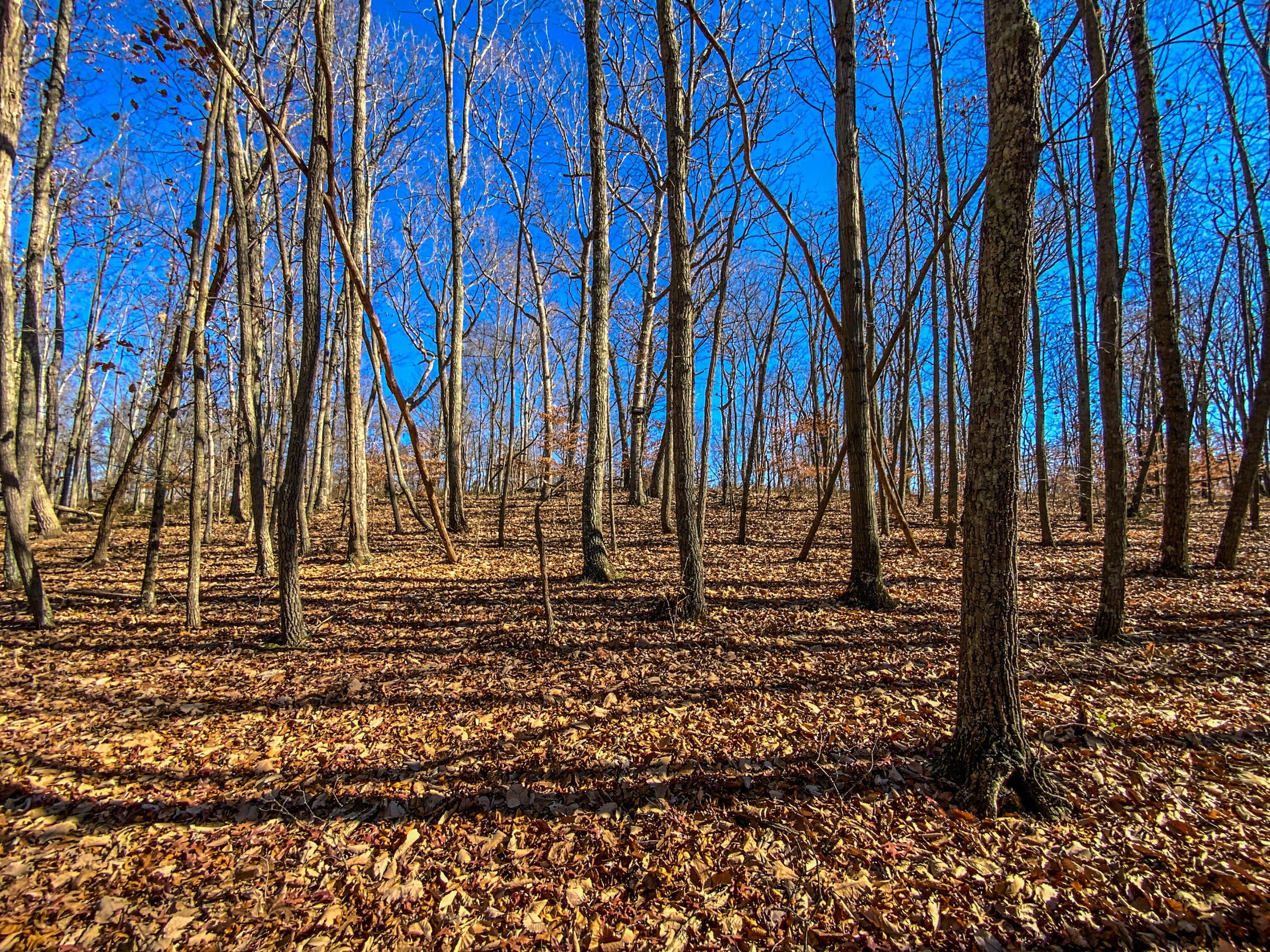 400 Bloomfield Road Piketon, OH 45661 - Photo 27 of 47 E49EA0F9-E31E-44B6-89DE-9C229EE4B31F