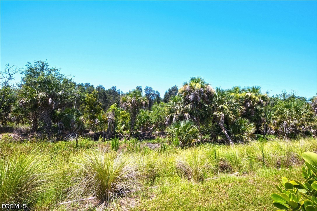 998 Enbrook Loop Naples, FL 34114 - Photo 33 of 33