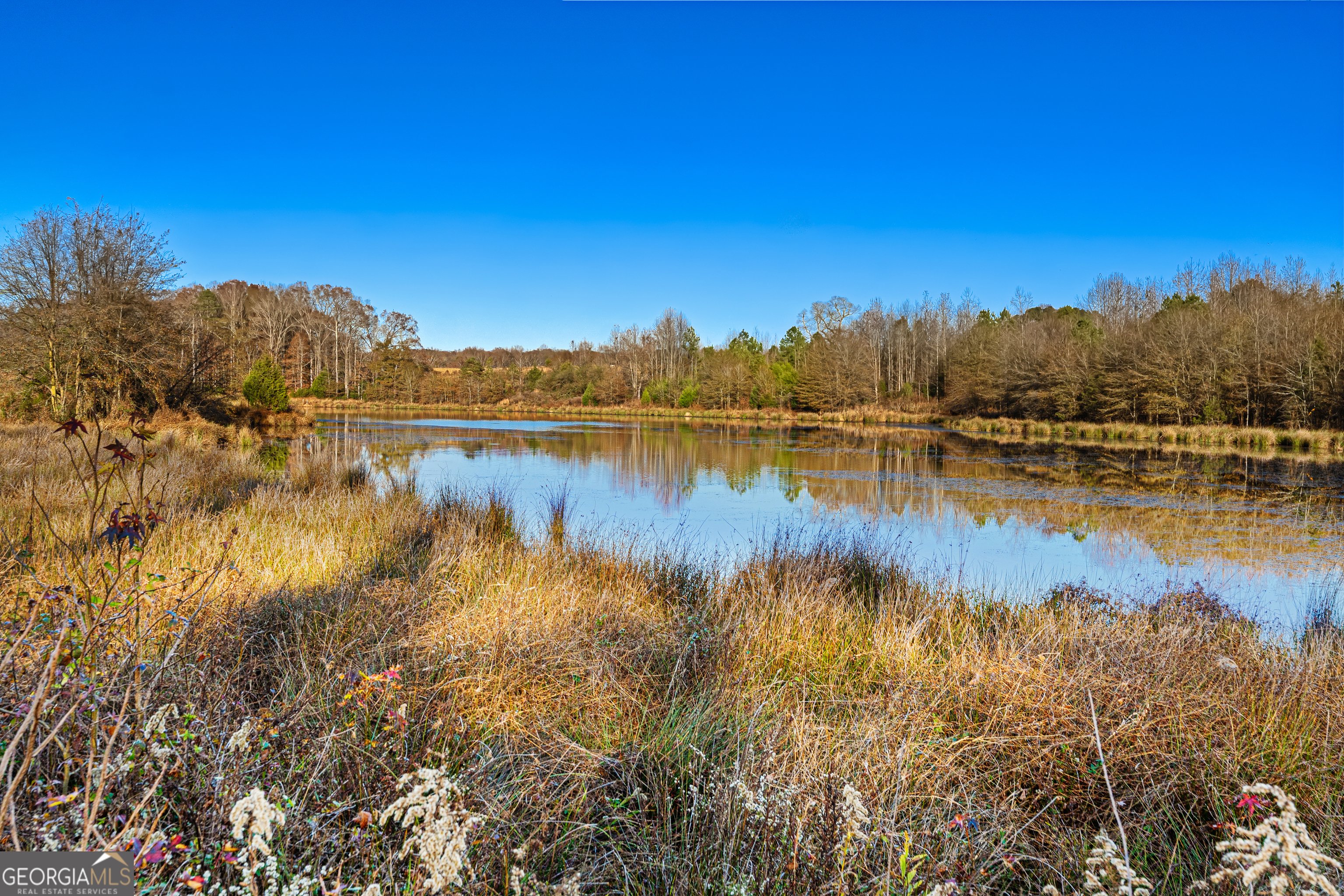 3 Legacy View Hartwell, GA 30643 - Photo 4 of 12