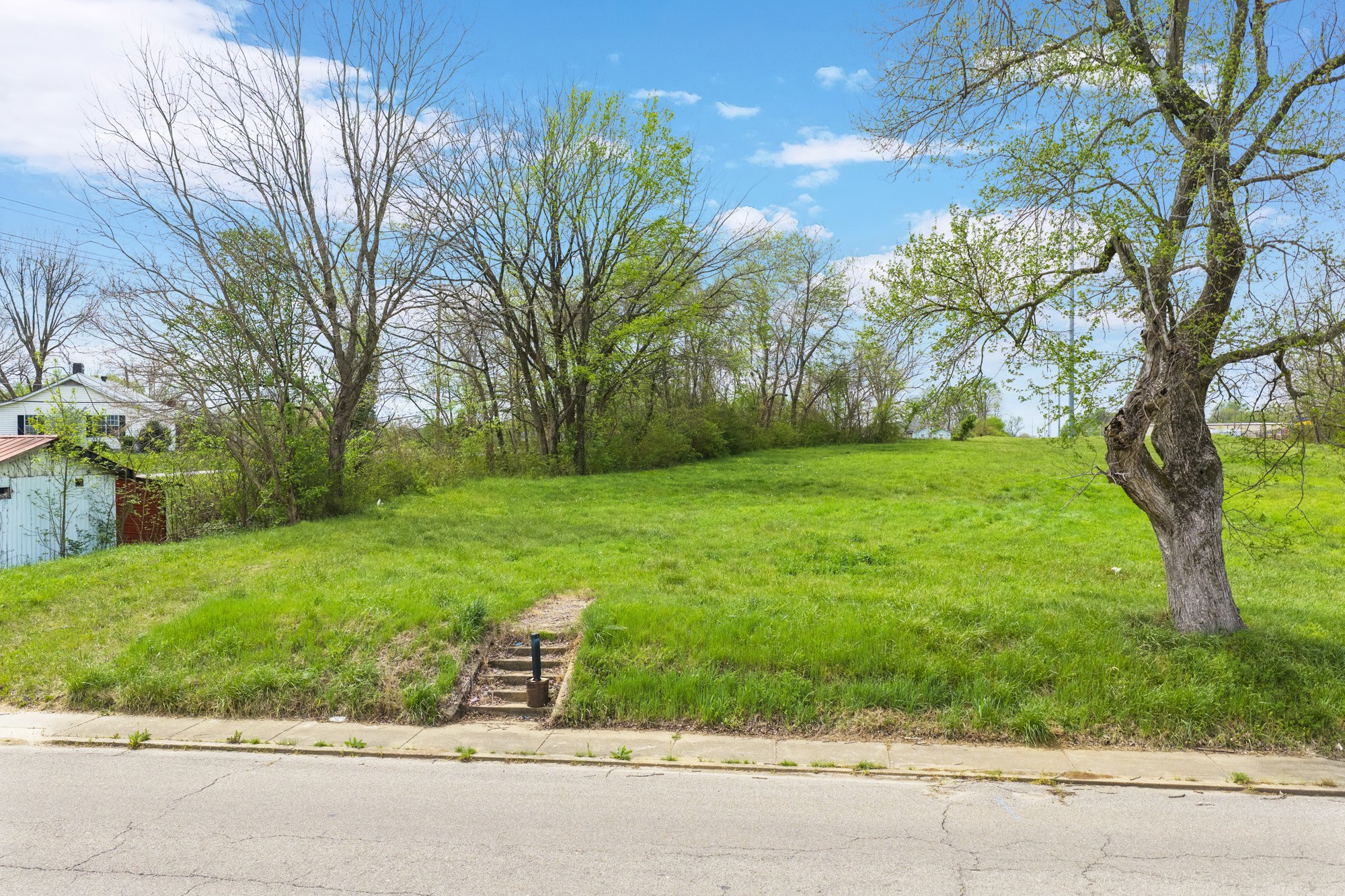 286 South Main Street Lexington, TN 38351 - Photo 13 of 13 a view of a garden with a tree