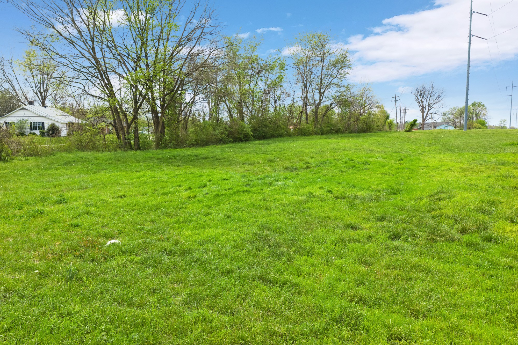 286 South Main Street Lexington, TN 38351 - Photo 2 of 13 a view of a grassy field with trees