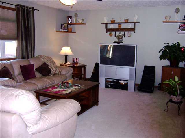 3178 Cobblestone Creek Road Marion, OH 43302 - Photo 4 of 17 Gallery Image 4