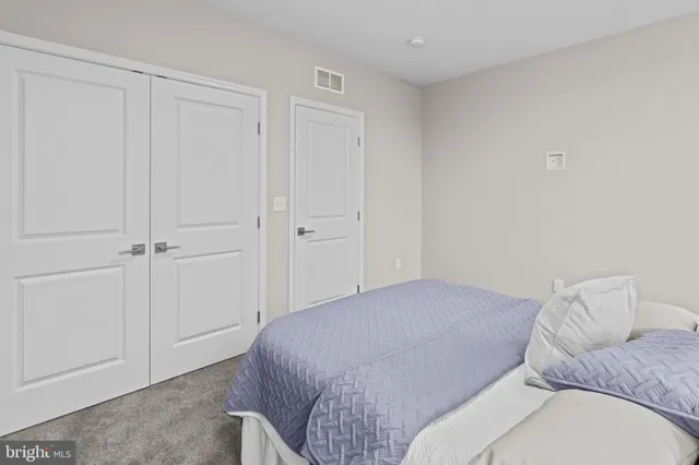 a bedroom with a bed and a closet