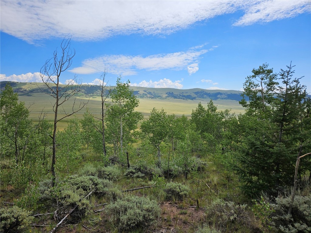 3062 Redhill Road Fairplay, CO 80440 - Photo 3 of 47 Gallery Image 3