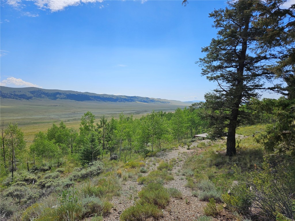 3062 Redhill Road Fairplay, CO 80440 - Photo 4 of 47 Gallery Image 4