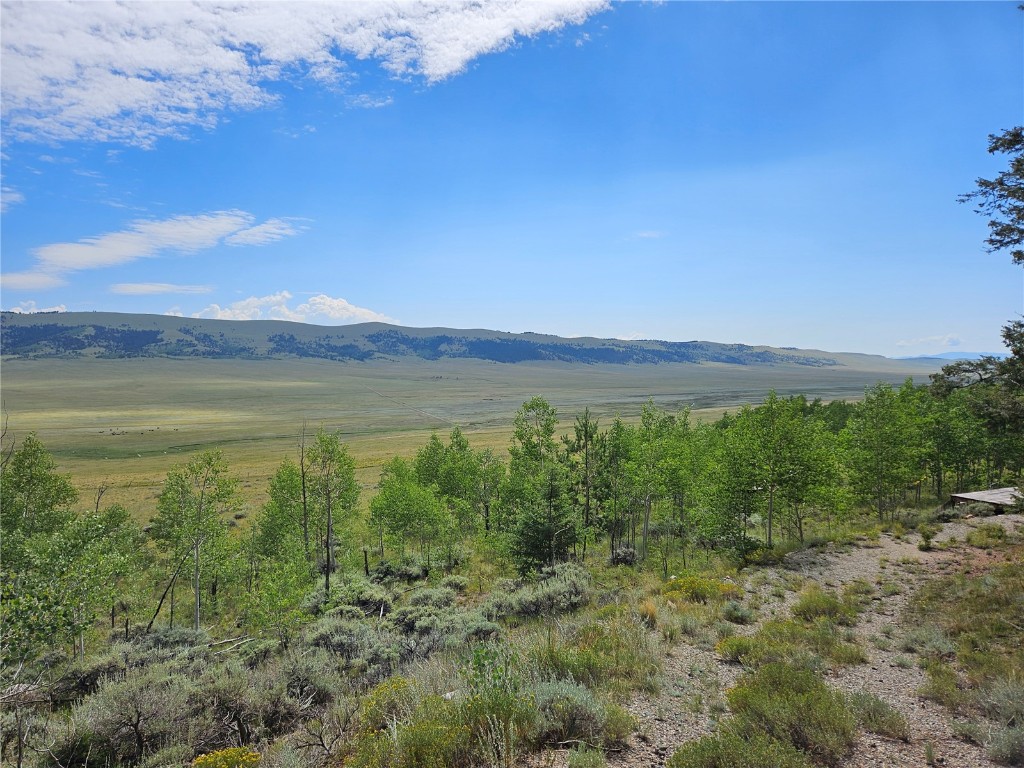 3062 Redhill Road Fairplay, CO 80440 - Photo 7 of 47 Gallery Image 7