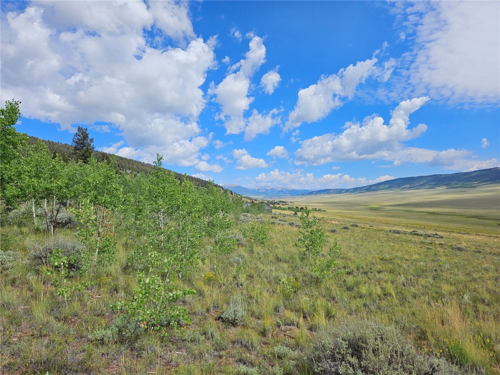 3062 Redhill Road Fairplay, CO 80440 - Photo 8 of 47 Gallery Image 8