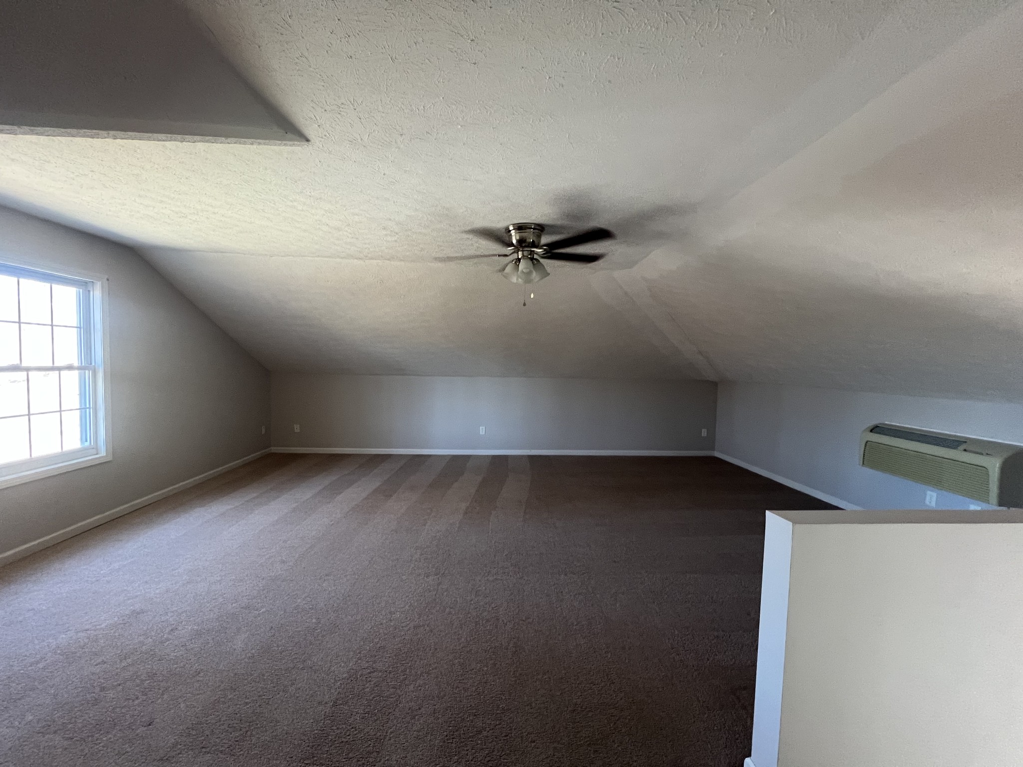 192 Wilkinson Road Cottontown, TN 37048 - Photo 17 of 20 an empty room with a empty space and windows