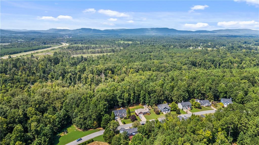 14 Bryan Springs Road Southwest Rome, GA 30165 - Photo 34 of 40 a view of a lush green forest with trees and houses in the back