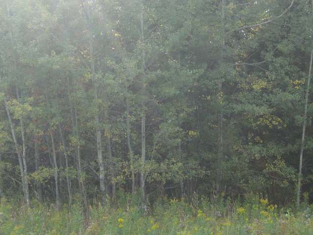 W6382 Hoefferle Road Park Falls, WI 54552 - Photo 14 of 20 Gallery Image 14