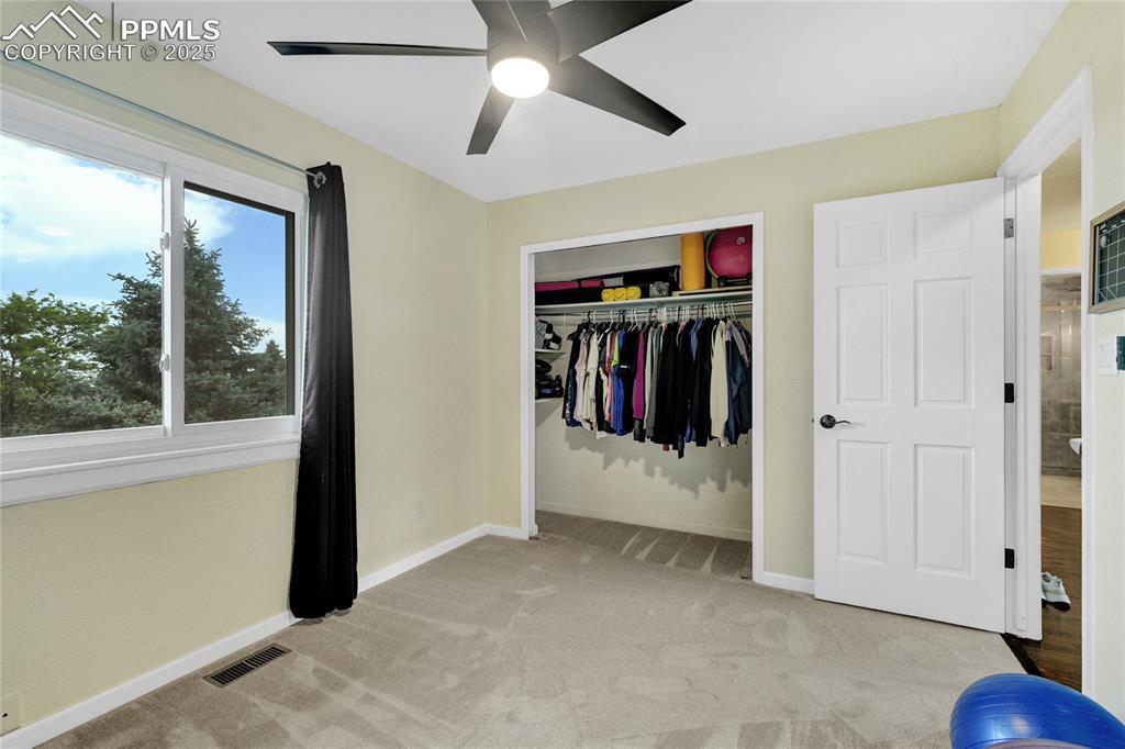 35 Lowick Drive Colorado Springs, CO 80906 - Photo 17 of 32 a view of a walk in closet