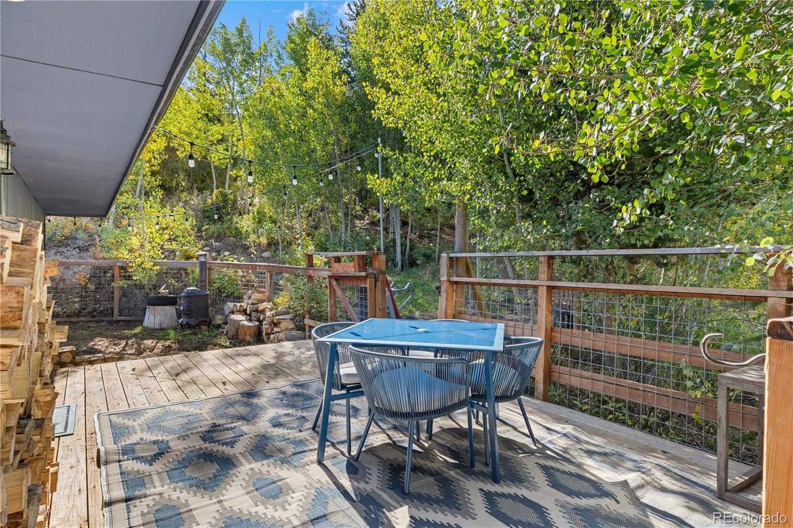 238 Deer Path Road Dillon, CO 80435 - Photo 33 of 47