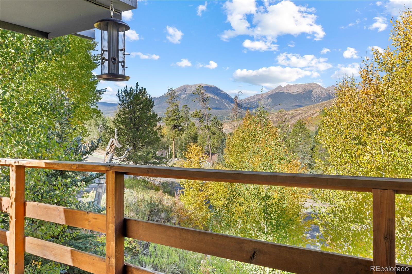 238 Deer Path Road Dillon, CO 80435 - Photo 35 of 47