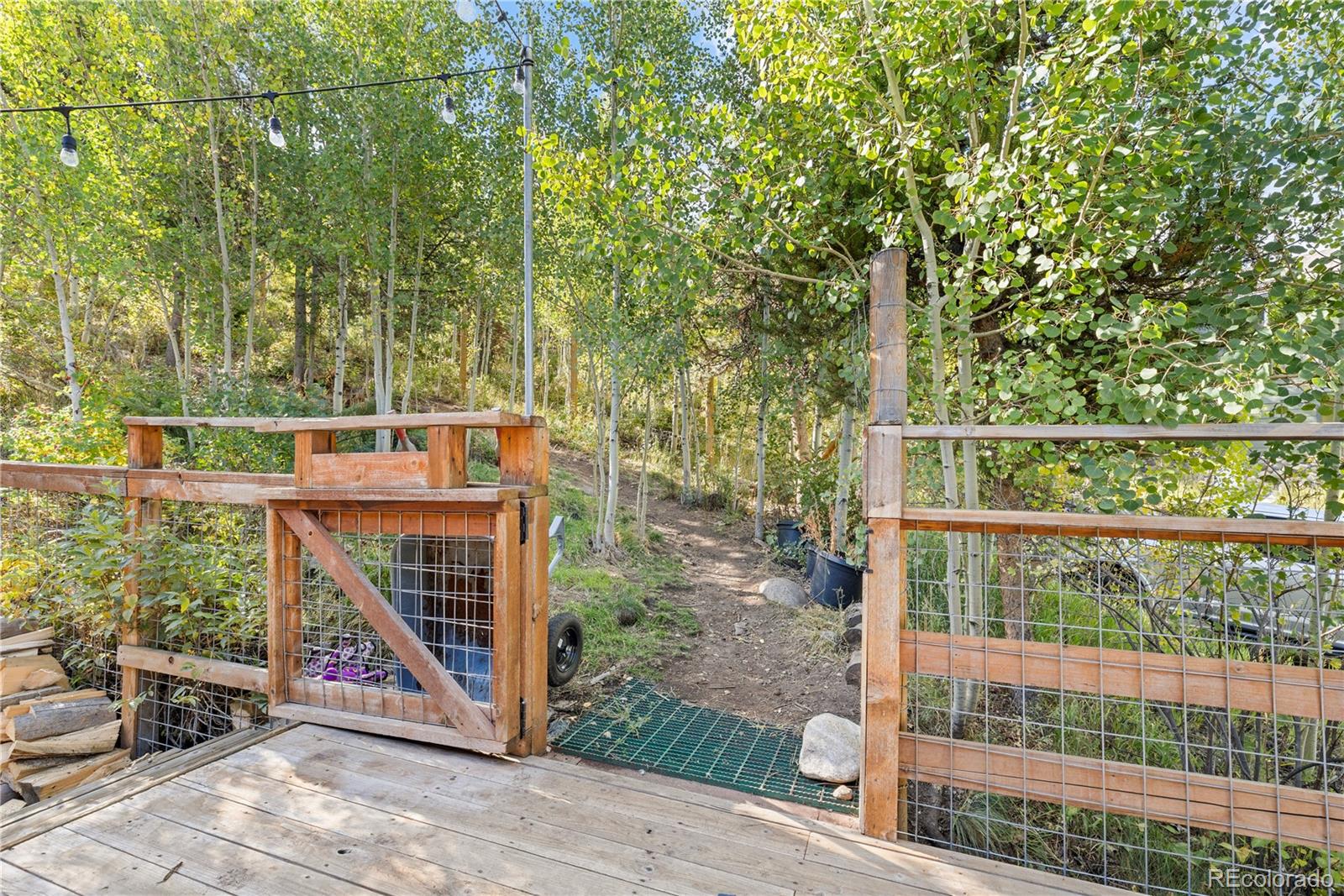 238 Deer Path Road Dillon, CO 80435 - Photo 44 of 47