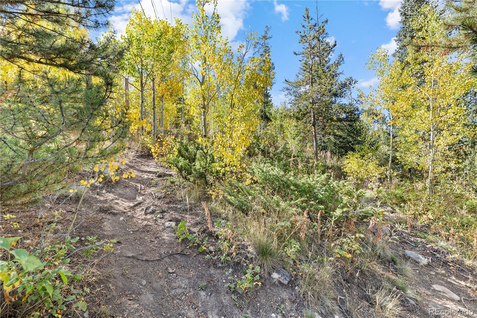 238 Deer Path Road Dillon, CO 80435 - Photo 45 of 47