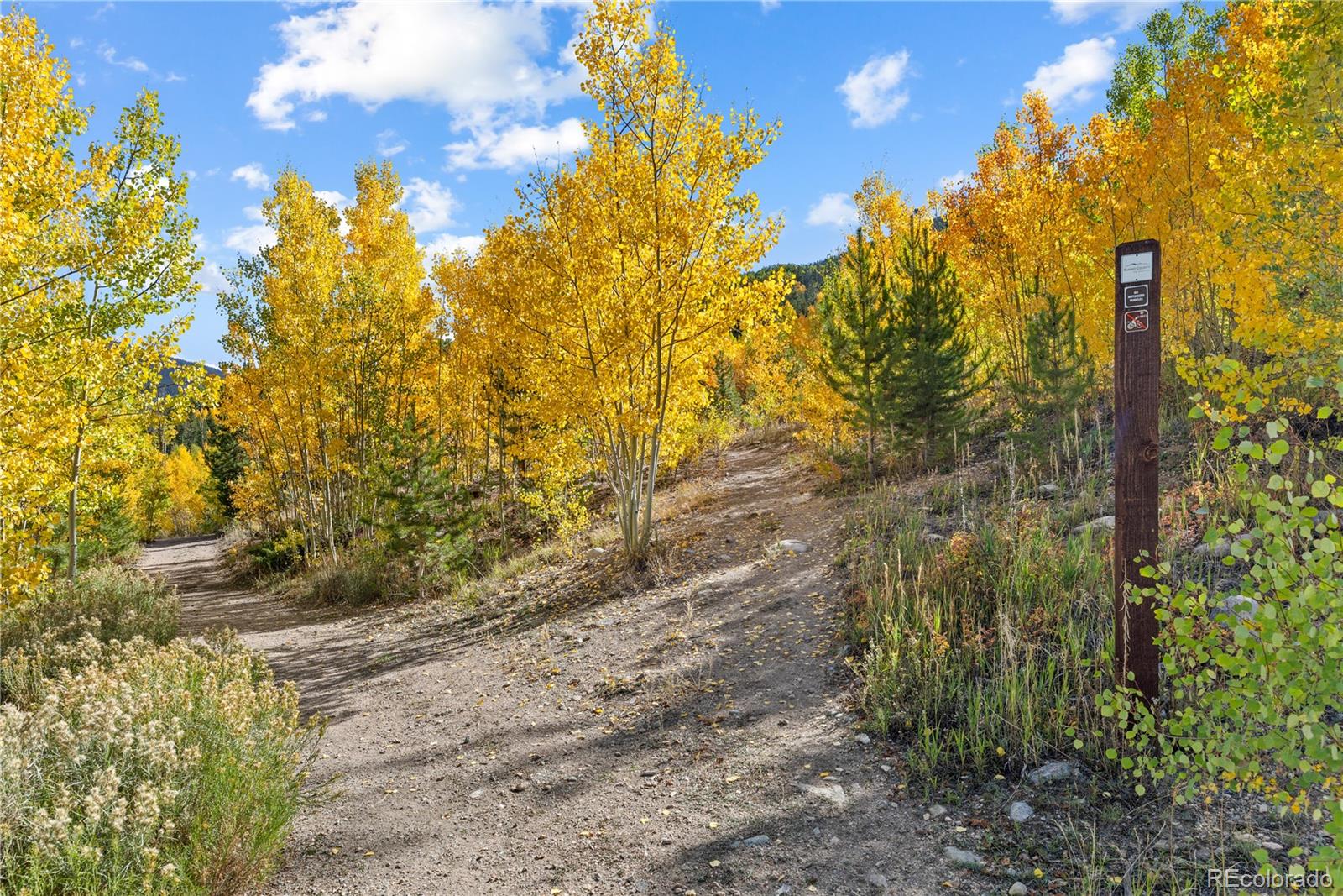 238 Deer Path Road Dillon, CO 80435 - Photo 46 of 47
