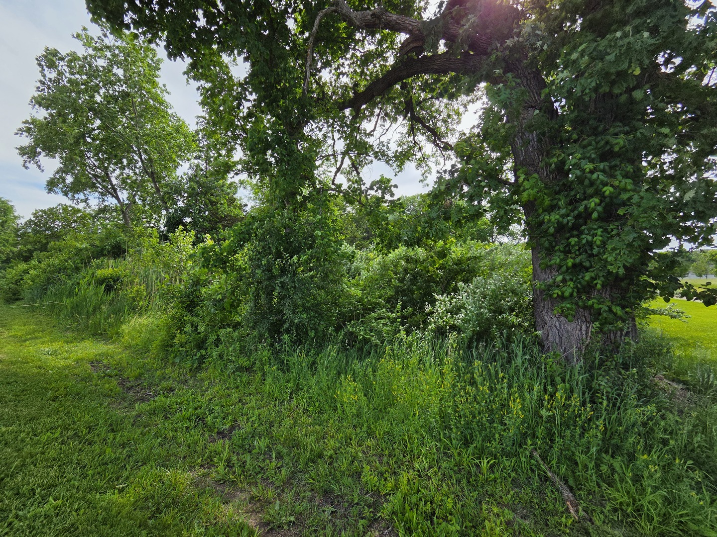 0 East 22nd Road Marseilles, IL 61341 - Photo 4 of 5