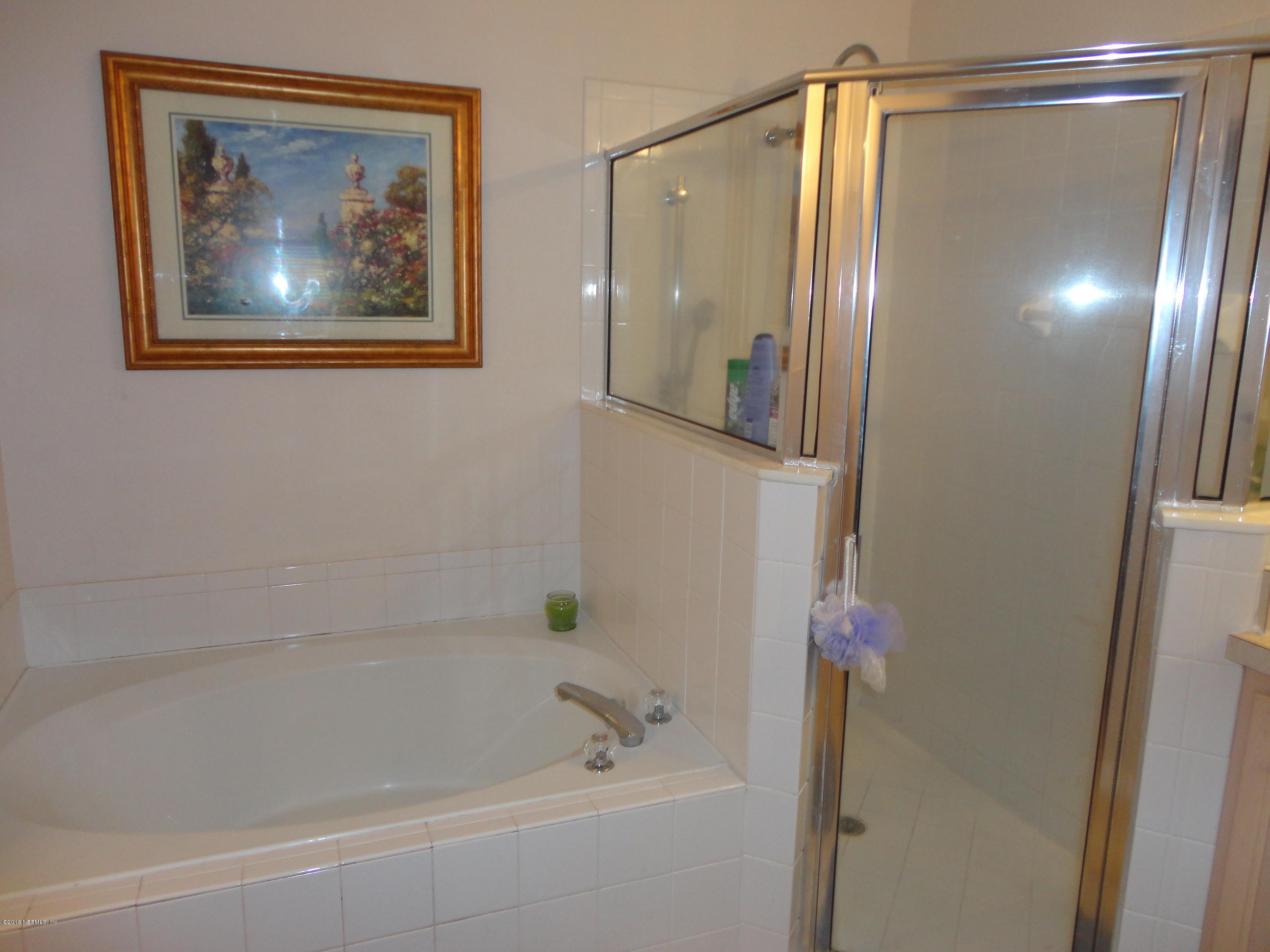 10244 Rising Mist Lane Jacksonville, FL 32221 - Photo 15 of 34 Master Bath