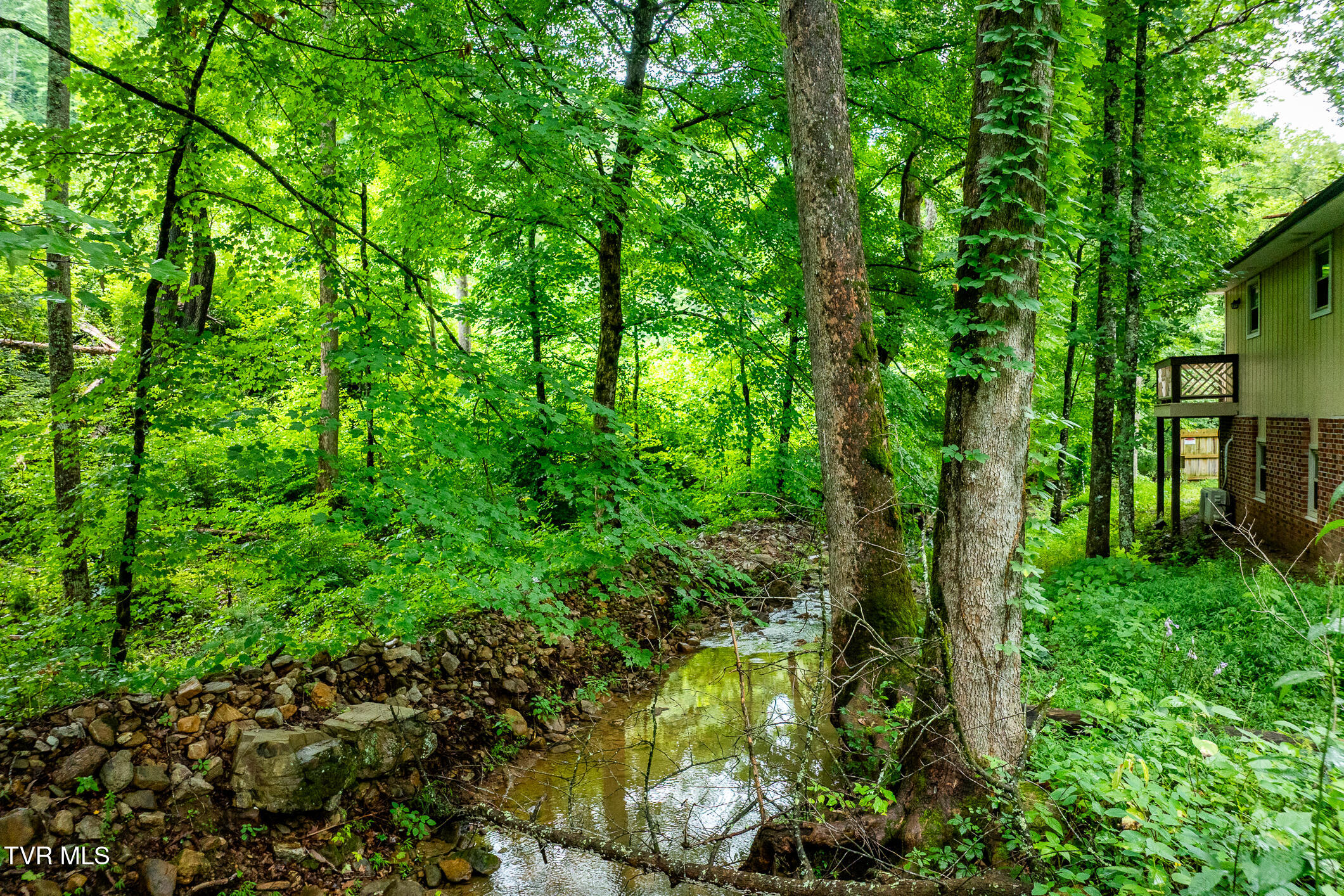 6539 Big Dry Run Road Butler, TN 37640 - Photo 55 of 93 6539 Big Dry Run Road (32 of 79)