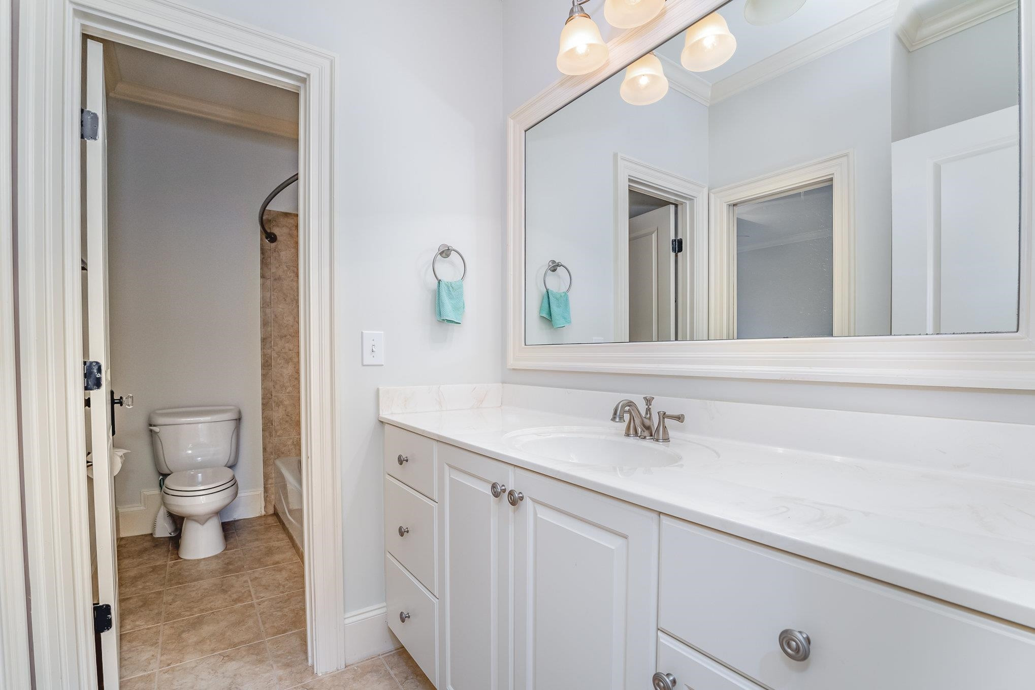 1817 Silver Mist Court Raleigh, NC 27613 - Photo 26 of 40 a bathroom with a sink and a mirror