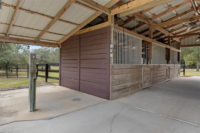 a view of backyard with trees