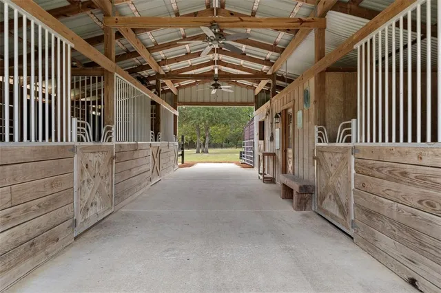 a view of a garden with trees