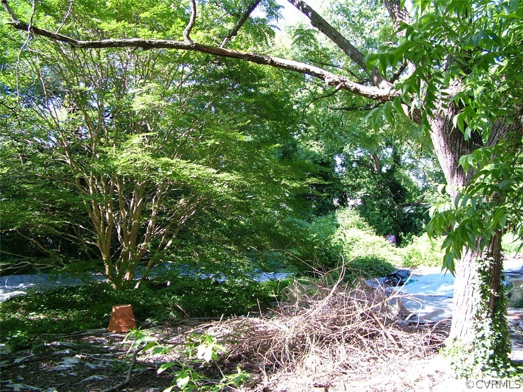 2606 Maplewood Road Henrico, VA 23228 - Photo 10 of 11 lots of clean up needed in overgrown rear yard