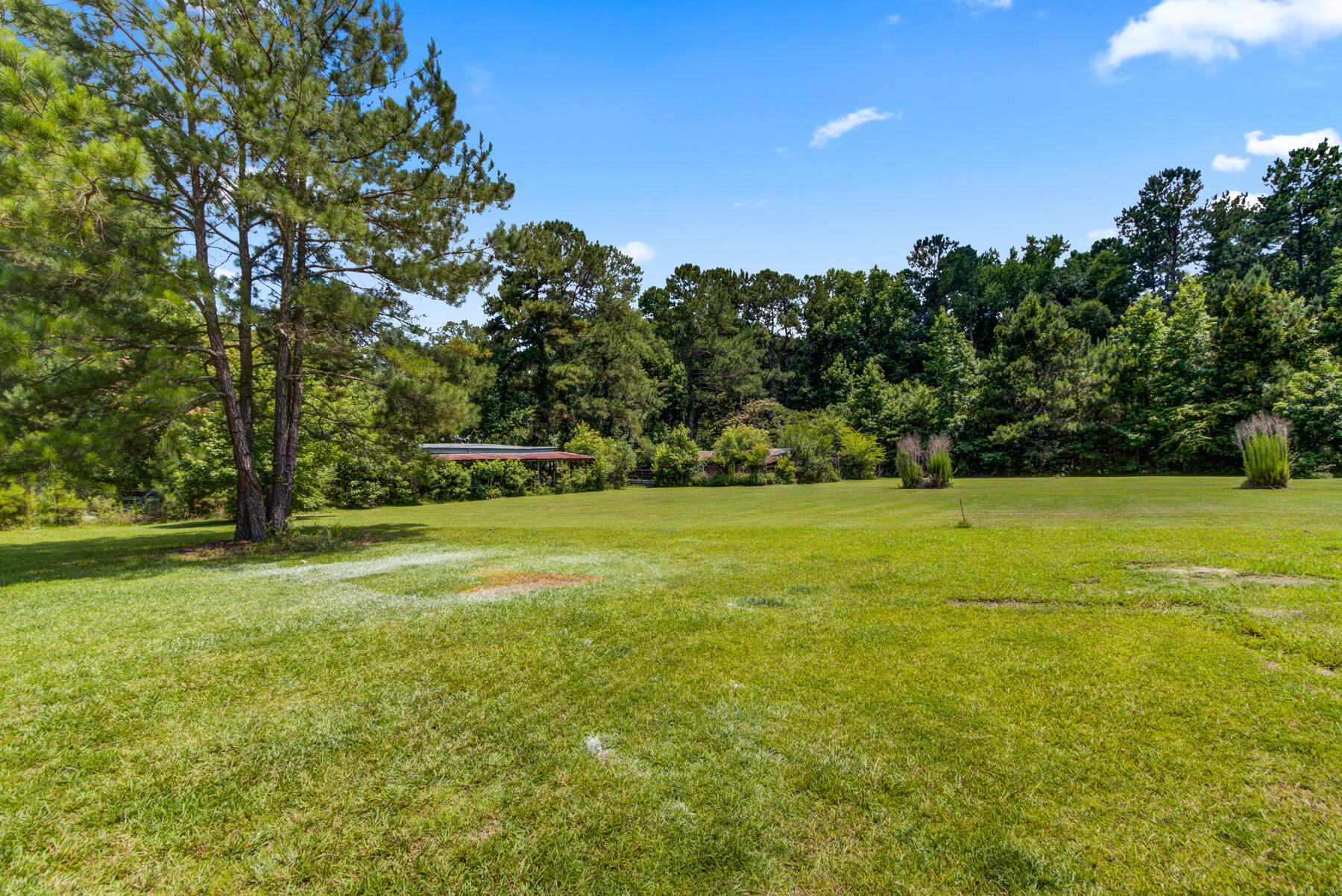175 Mentor Road Summerville, SC 29483 - Photo 40 of 57 175 Mentor Rd, Summerville SC (40)