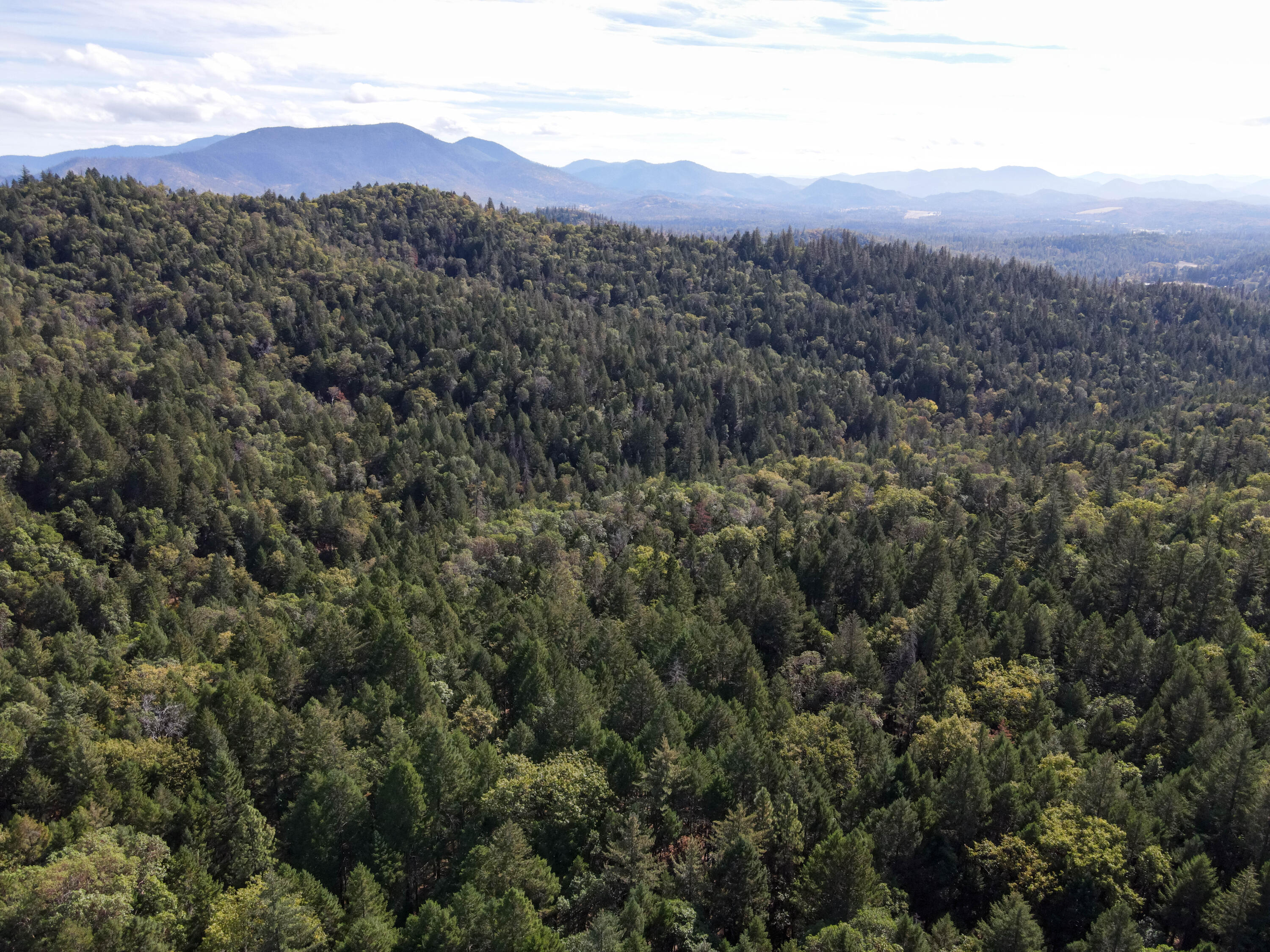 Quartz Creek Road, Unit R301574 Merlin, OR 97532 - Photo 1 of 24 drone