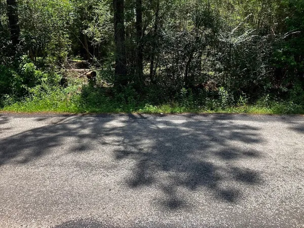 a view of a yard with a trees
