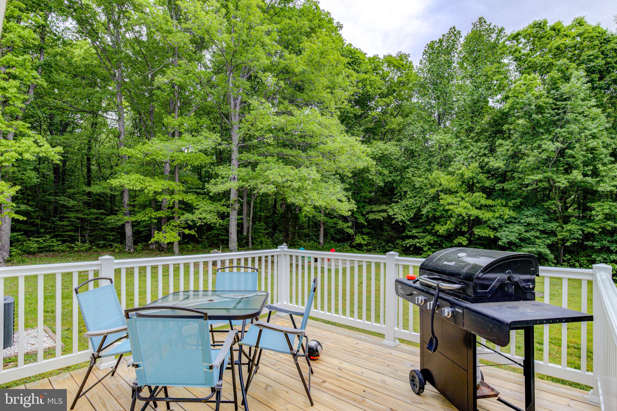 15563 Countyline Church Road Ruther Glen, VA 22546 - Photo 20 of 26