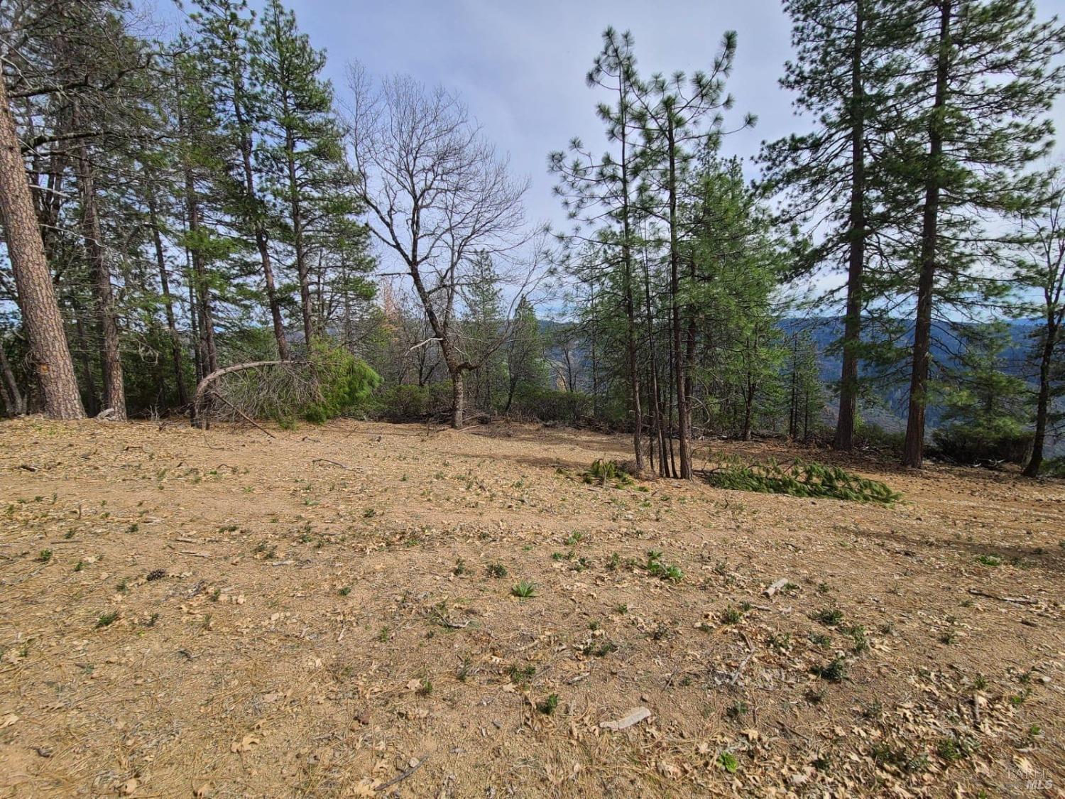 47700 Bentley Ridge Road Covelo, CA 95428 - Photo 49 of 74
