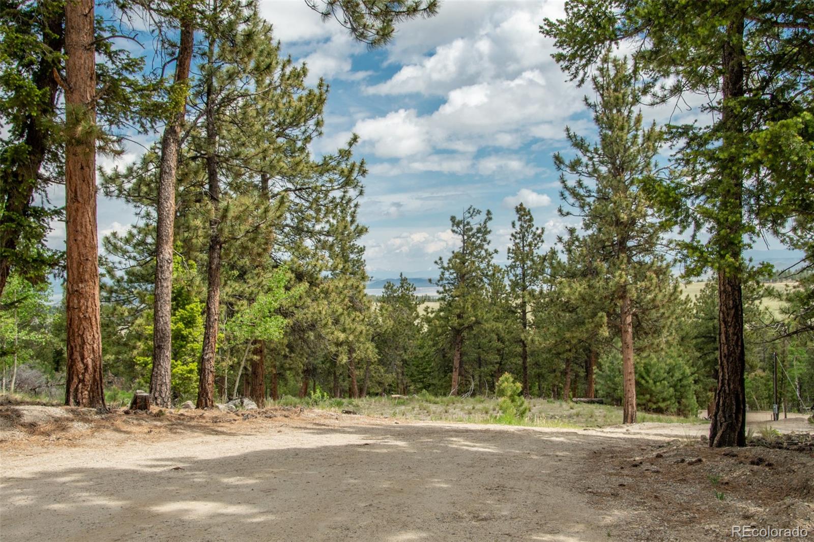 1620 Bellows Road Hartsel, CO 80449 - Photo 17 of 40 Gallery Image 17