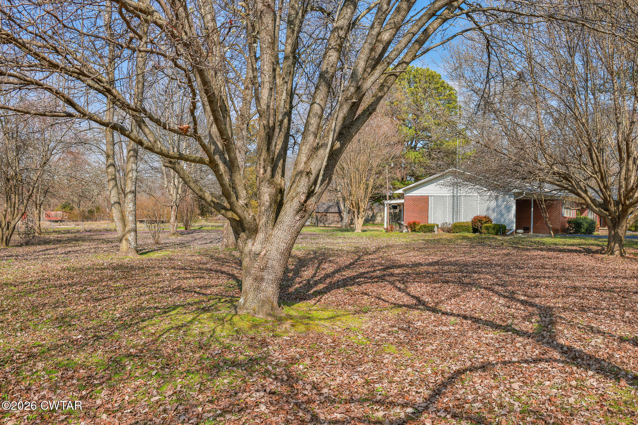 1089 Tatumville Road Newbern, TN 38059 - Photo 6 of 33 FT8A0173