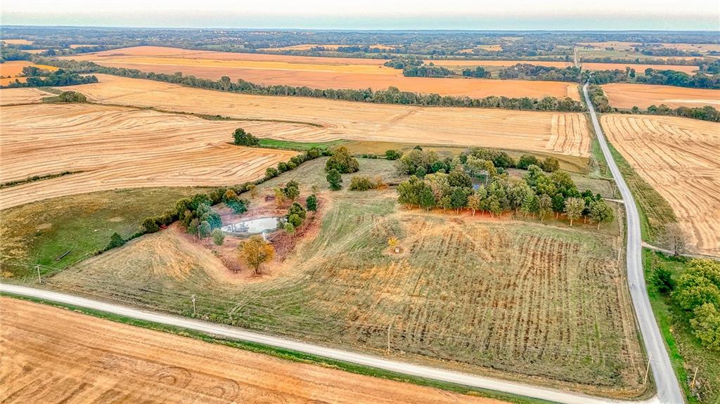 Tbd Southwest Tbd Sw 200th Road Centerview, MO 64019 - Photo 19 of 36 Gallery Image 19