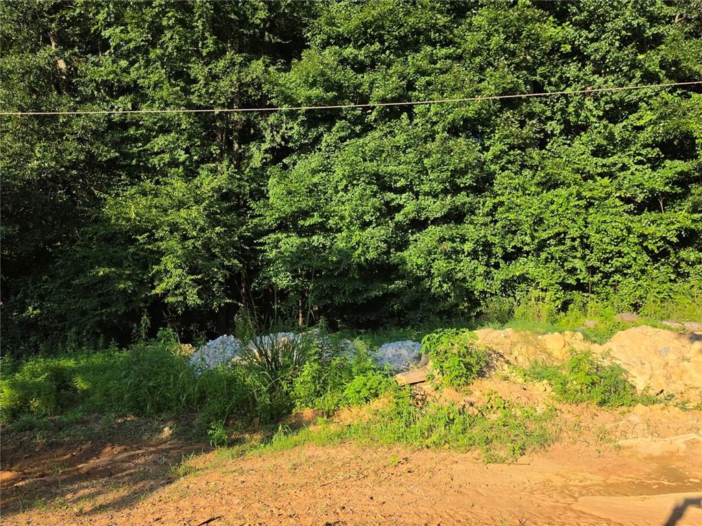 0 Maxham Road Austell, GA 30168 - Photo 2 of 13
