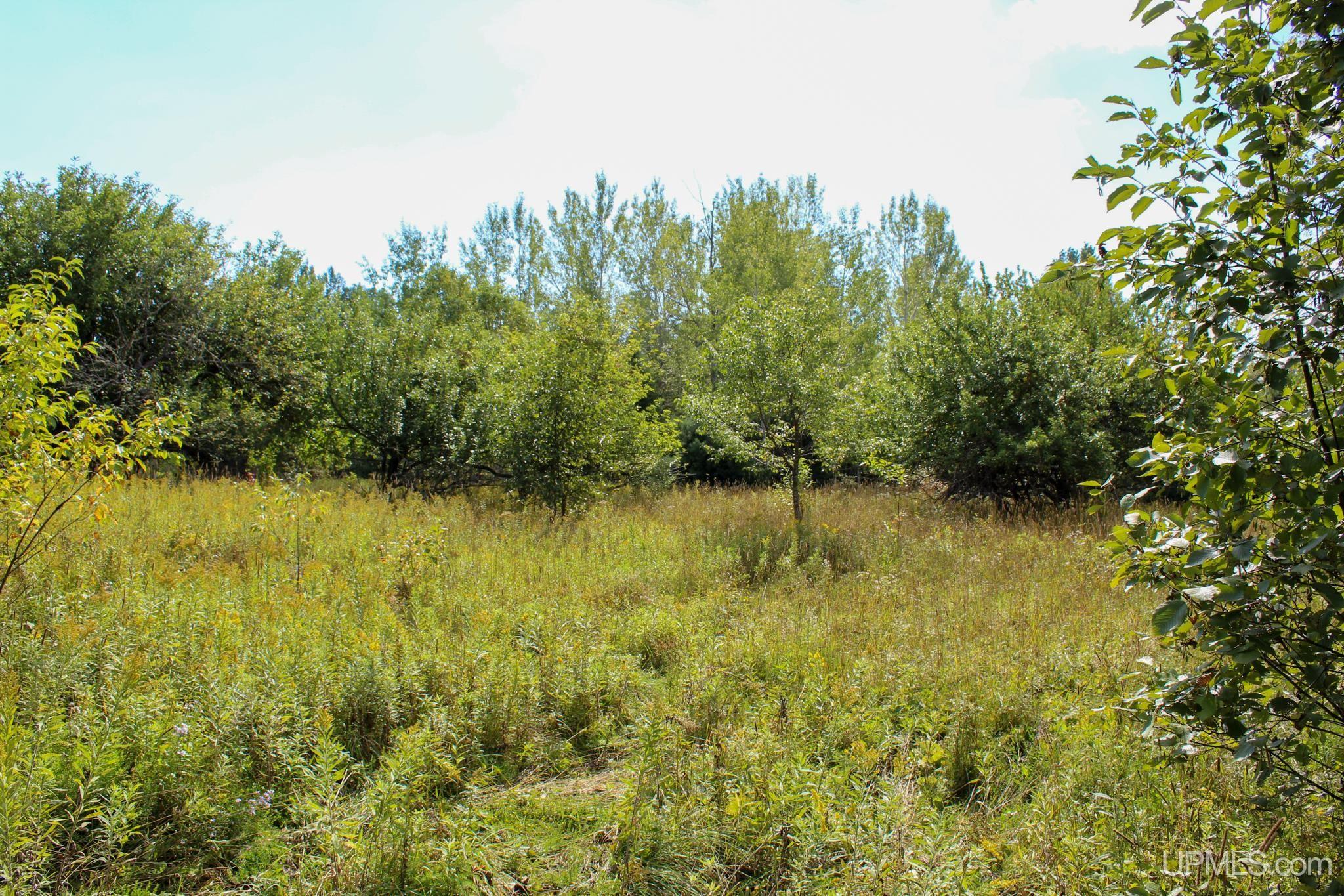 Tbd Michaelson Road Pelkie, MI 49958 - Photo 6 of 73 Gallery Image 6