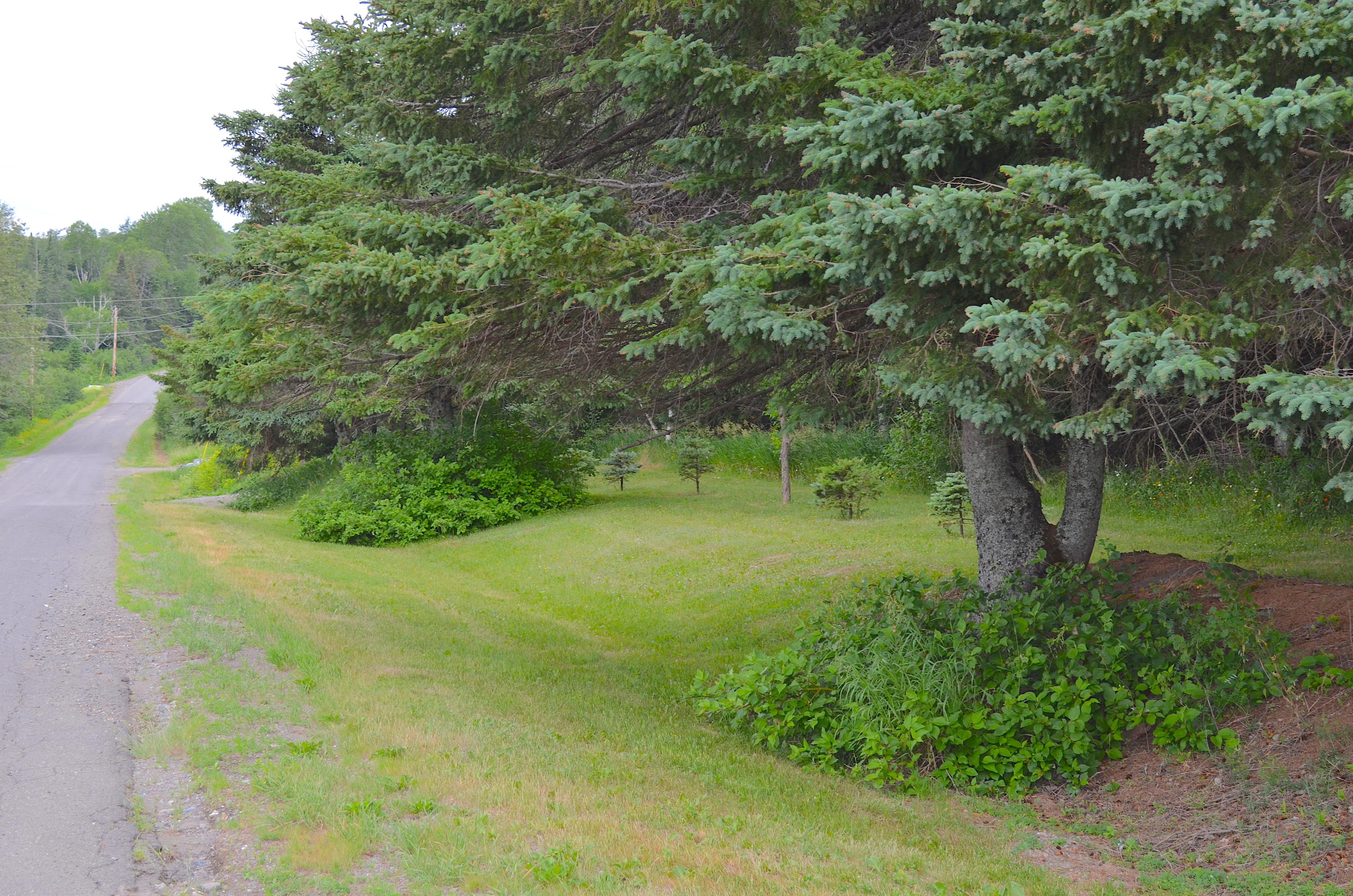 190 Mahany Road Easton, ME 04740 - Photo 3 of 21 Quiet Street