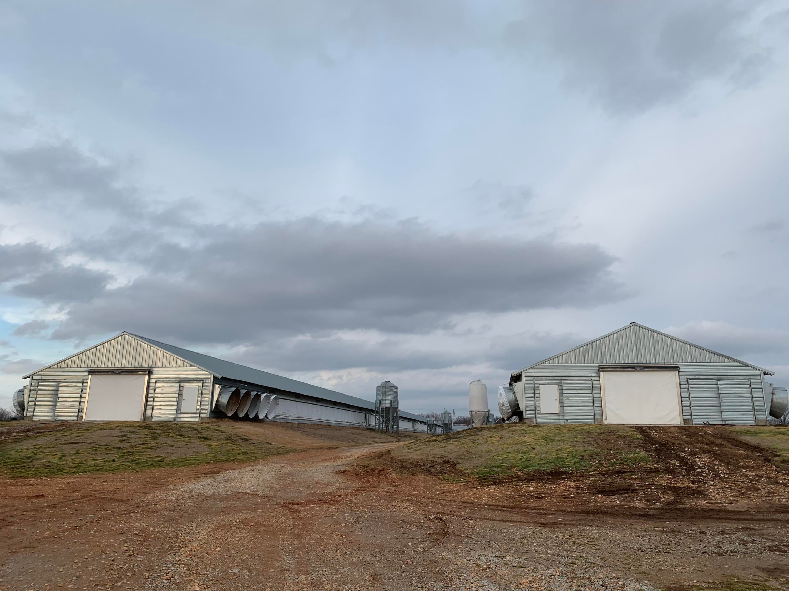8893 WPA Road Gentry, AR 72734 - Photo 3 of 8 Gallery Image 3